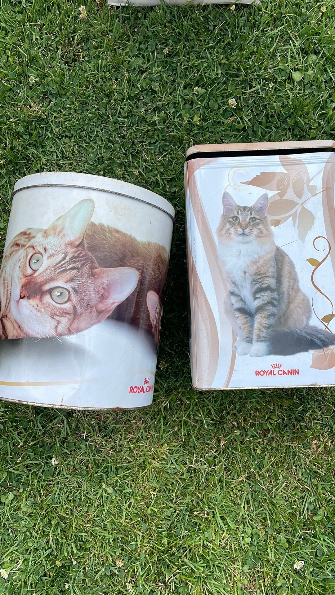 Blikken royal canin, Ophalen, Hond