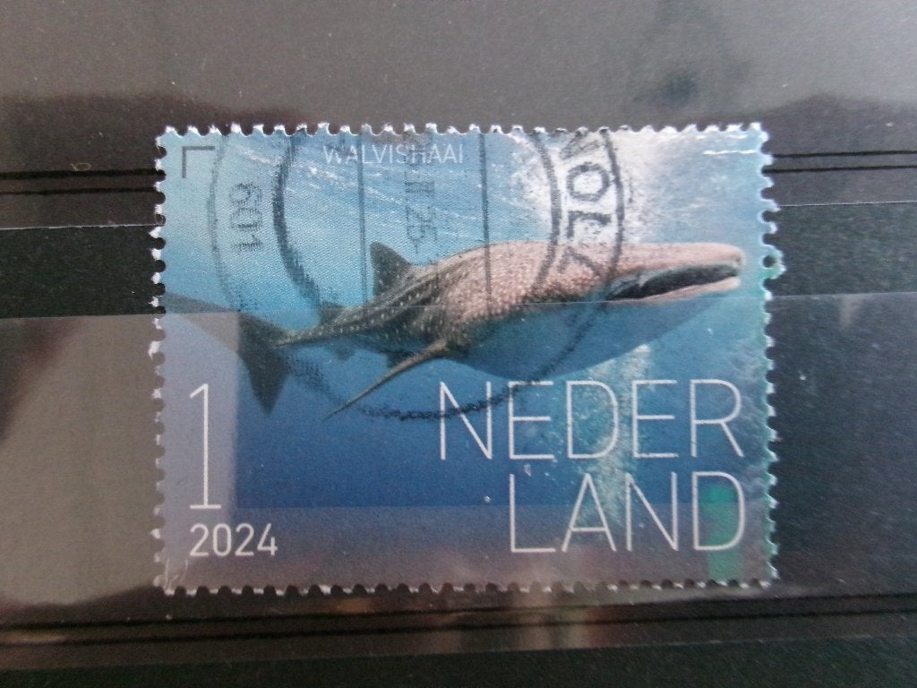2024 - beleef de natuur walvishaai (36b), Ophalen of Verzenden, Gestempeld