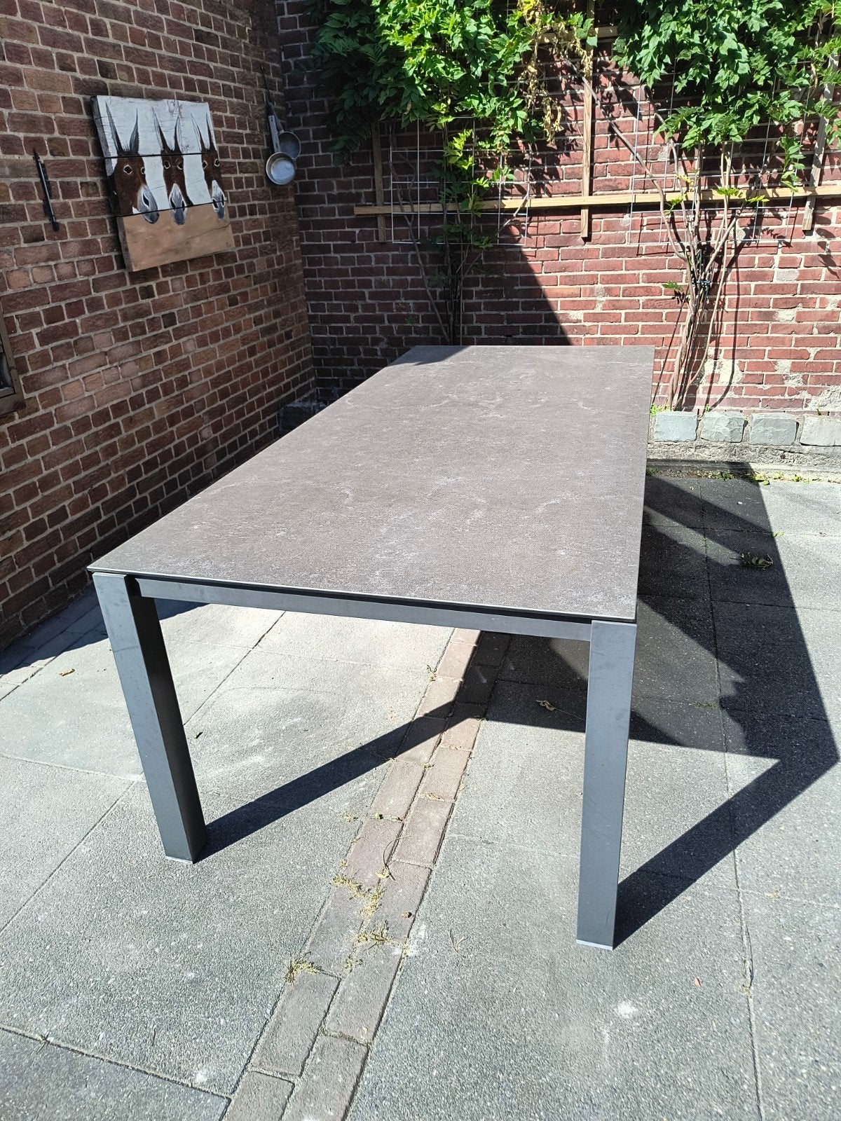 Tuintafel 220x100, Ophalen, Zo goed als nieuw, Rechthoekig, Aluminium