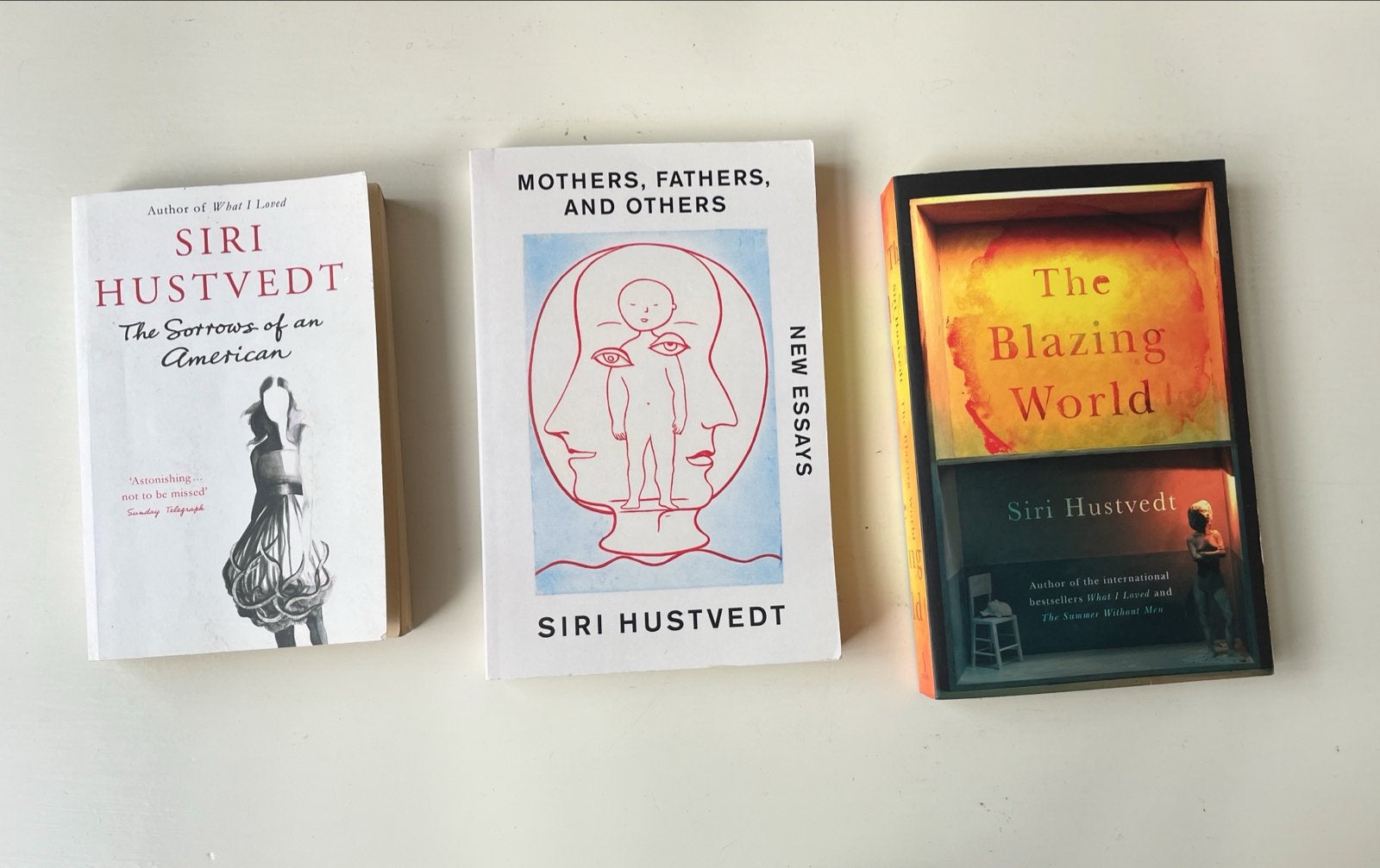 Siri Hustvedt Boekenpakket: 3 Engelse Edities, Boeken, Ophalen of Verzenden, Gelezen, Amerika