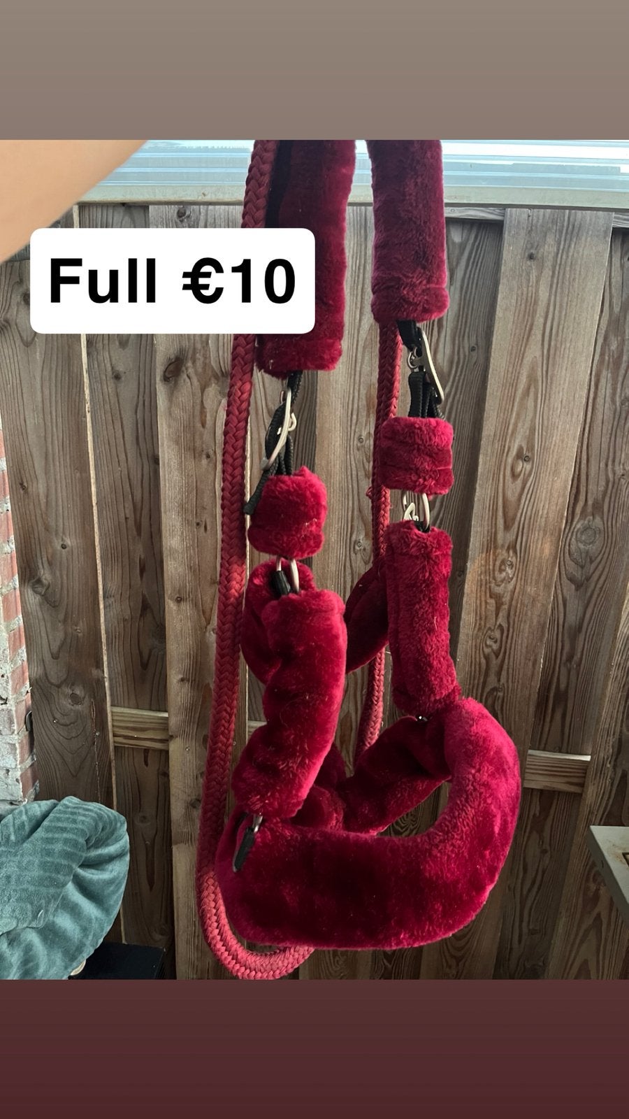 Halsters maat full, Ophalen, Zo goed als nieuw, Full