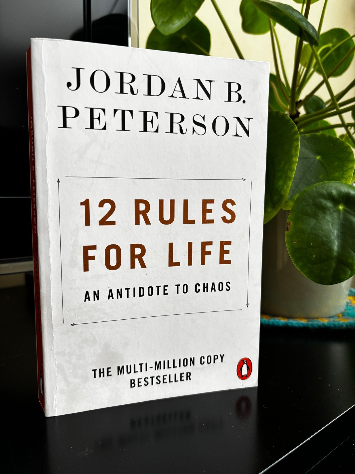 12 Rules for Life - Jordan B. Peterson, Ophalen of Verzenden, Gelezen, Nederland