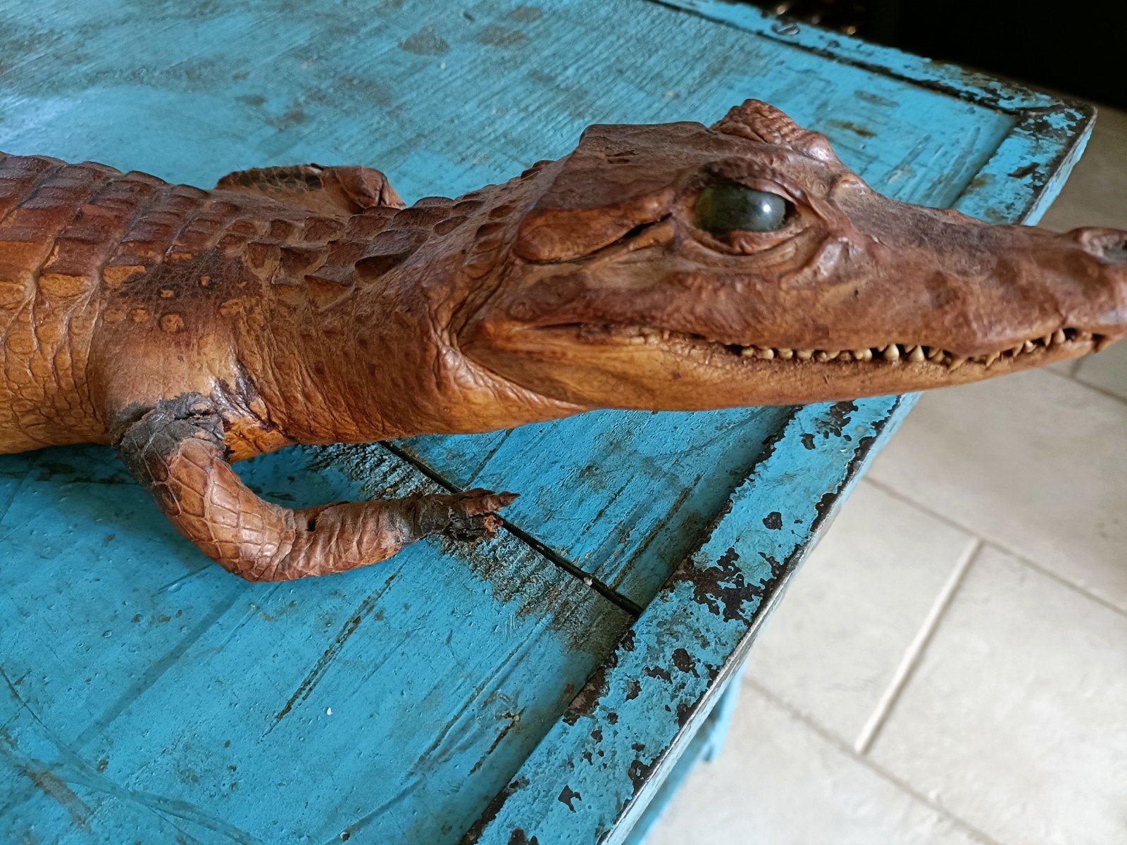 Opgezette krokodil (baby alligator), Verzamelen, Ophalen of Verzenden, Zo goed als nieuw