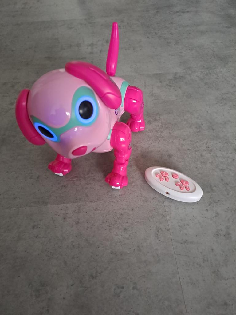 Robot hond, Ophalen, Zo goed als nieuw, Jongen of Meisje