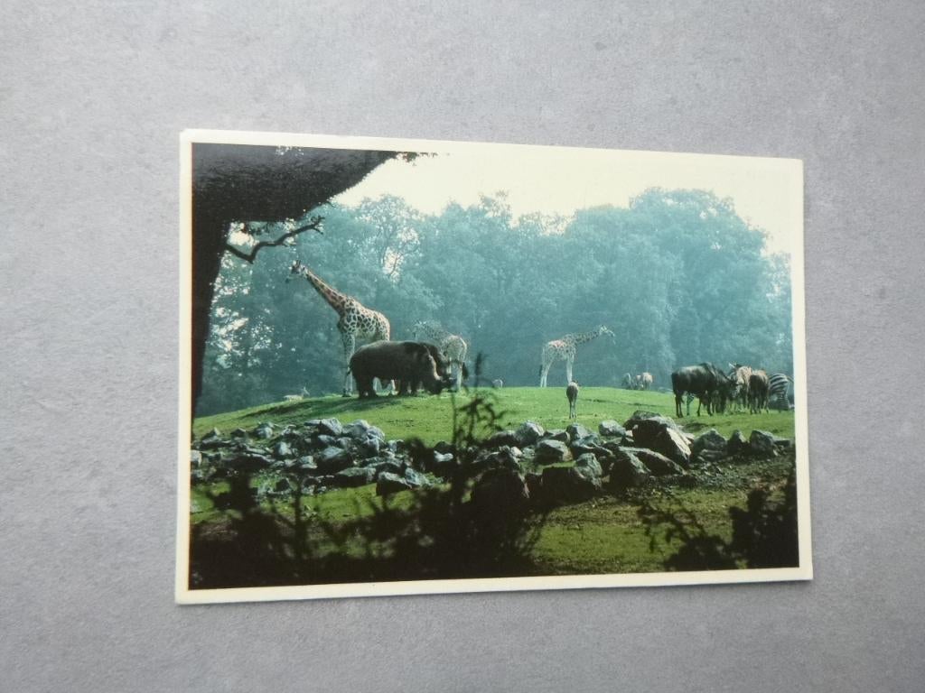 Emmen, Noorder dierenpark Afrika savanne, Verzenden, 1980 tot heden, Gelopen, Drenthe