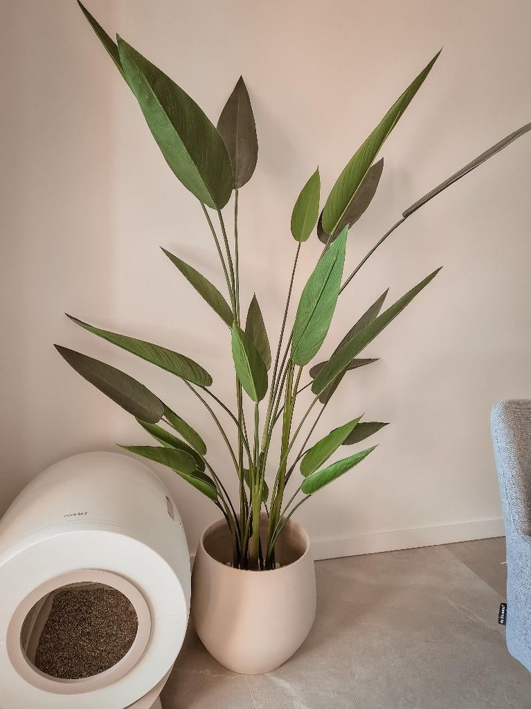 Kunstplant Heliconia, Ophalen, Zo goed als nieuw, Binnen