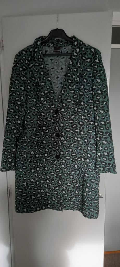 Blazer maat 44 dreamstar, Ophalen of Verzenden, Zo goed als nieuw, Maat 42/44 (L), Groen