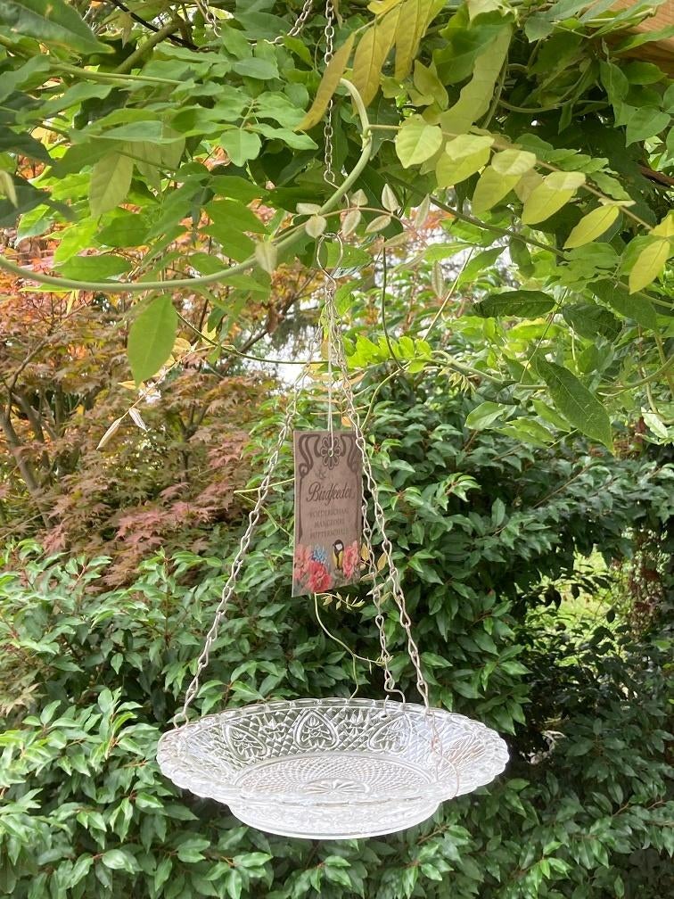 VOGEL VOEDERSCHAAL GLAS HELDER NIEUW, -, -, Nieuw, Ophalen of Verzenden