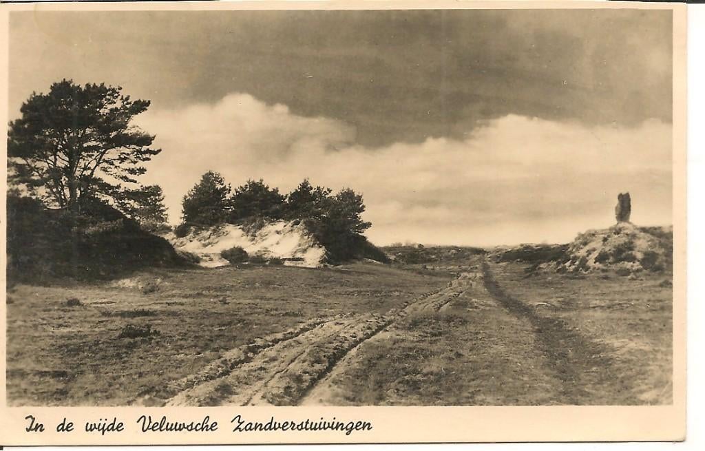 In de wijde Veluwsche Zandverstuivingen.Garderen, Ophalen of Verzenden, 1940 tot 1960, Ongelopen, Gelderland