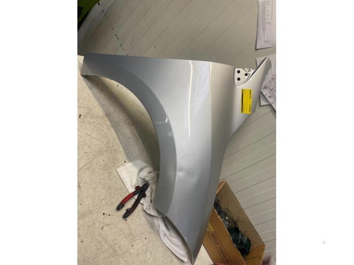 Scherm rechts-voor van een Renault Megane (TED69), Ophalen of Verzenden, 3 maanden garantie, Gebruikt, Renault
