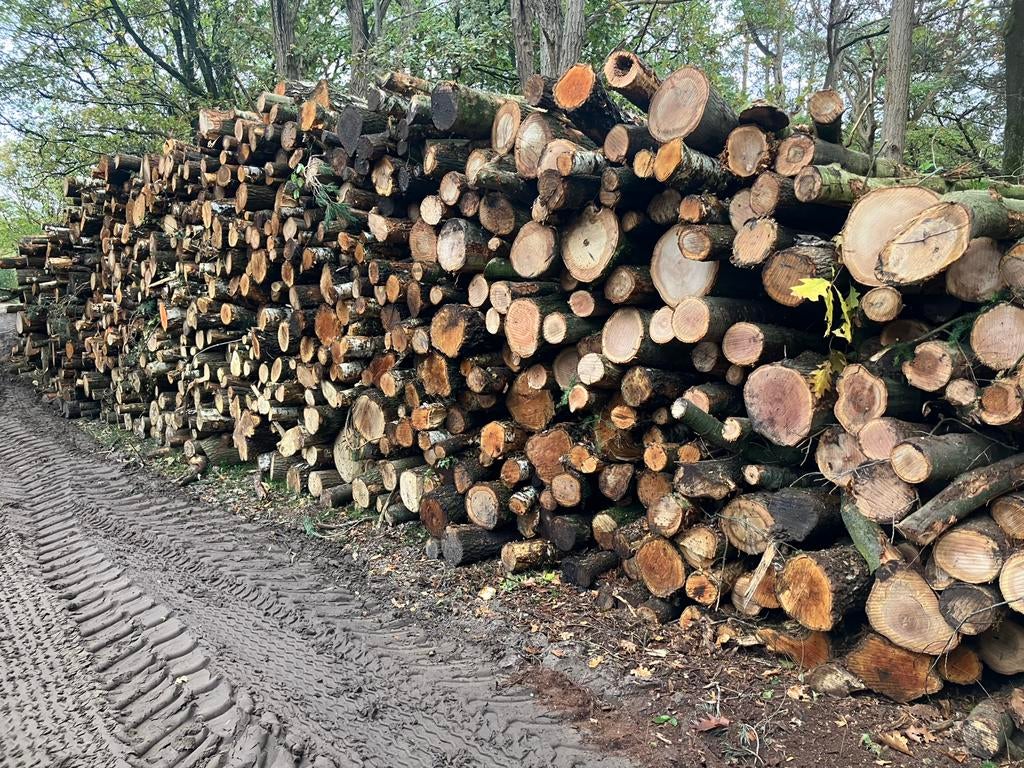 Berk-Eik mix Brandhout-openhaardhout-kachelhout boomstammen., Minder dan 3 m³, Verzenden