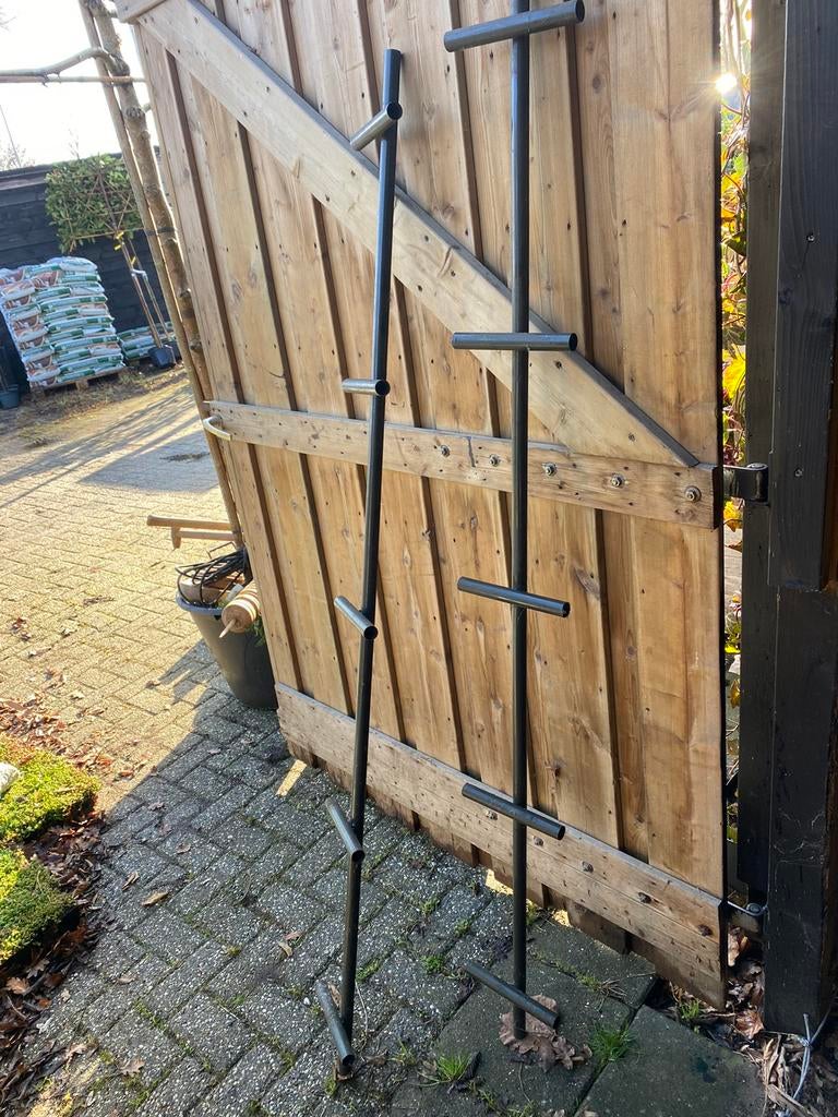 Lei scherm hart buizen 180 cm lang 12 stuks, Ophalen of Verzenden, Halfschaduw, Leiboom