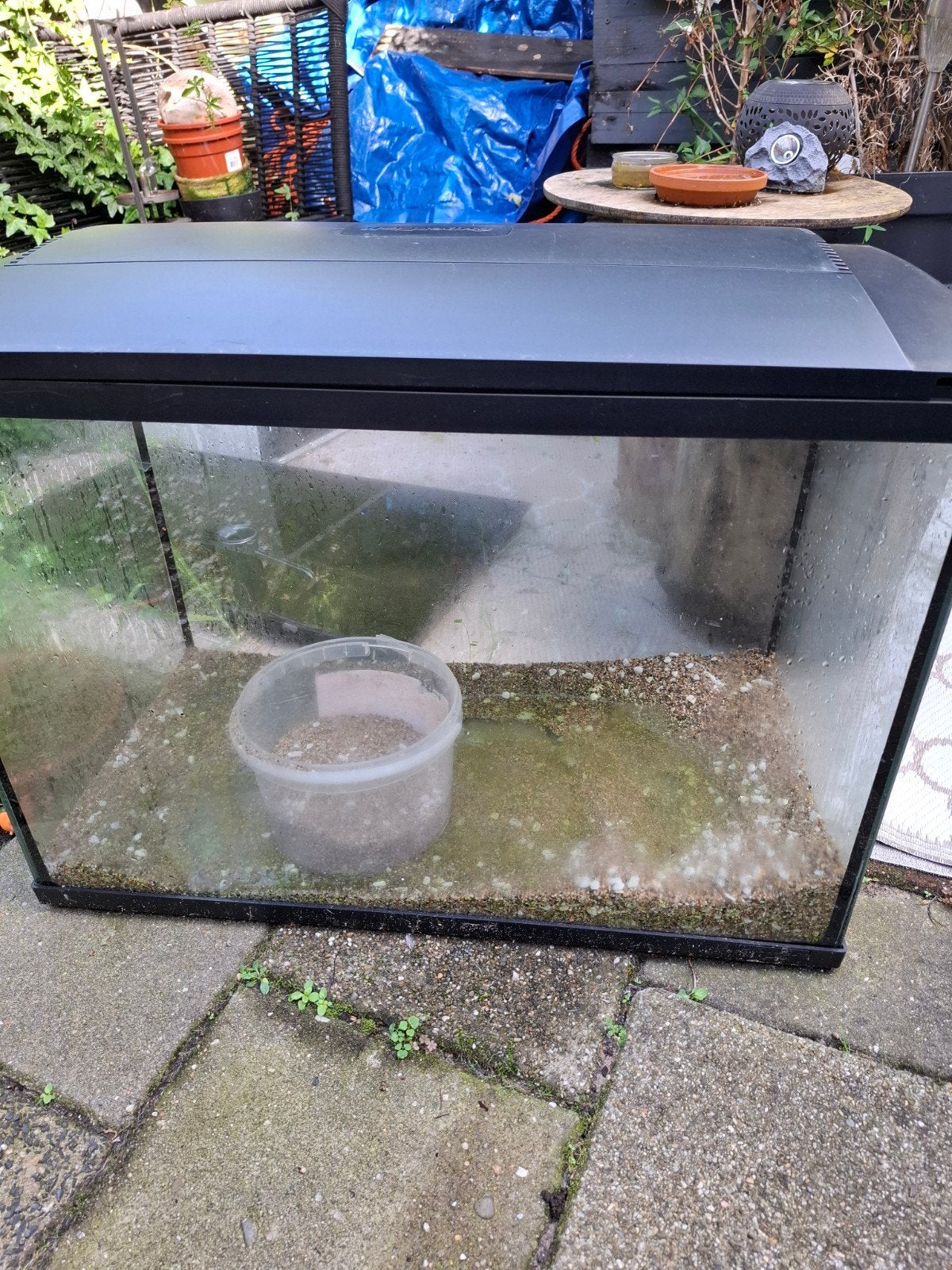 aquarium, Dieren en Toebehoren, Ophalen, Leeg aquarium