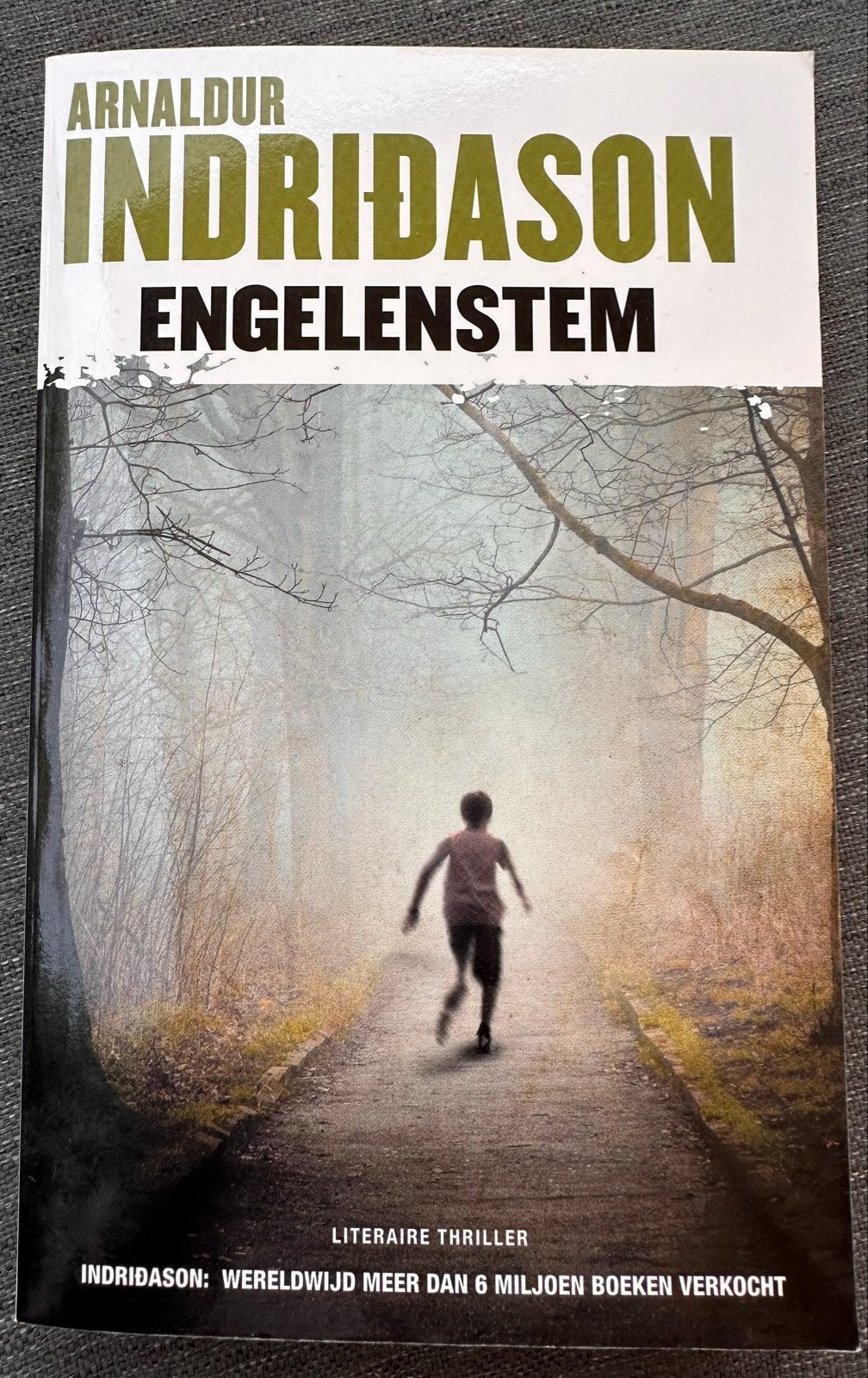 Arnaldur Indriðason - Engelenstem (Literaire Thriller), Boeken, Ophalen of Verzenden, Zo goed als nieuw, Scandinavië