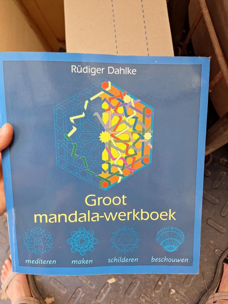 R. Dahlke - Groot mandala werkboek, Boeken, Achtergrond en Informatie, R. Dahlke, Ophalen of Verzenden, Zo goed als nieuw