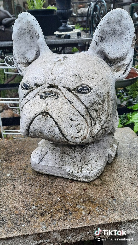 Betonnen Franse Bulldog beeld voor tuin of interieur, Tuin en Terras, Tuinbeelden, Ophalen, Gebruikt, Beton, Dierenbeeld