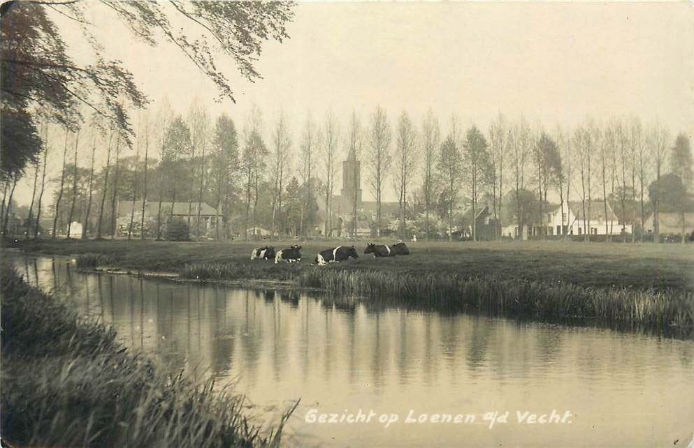 304-279-017 Loenen aan de Vecht Gezicht op Loenen a/d Vecht, Verzenden, Voor 1920, Utrecht