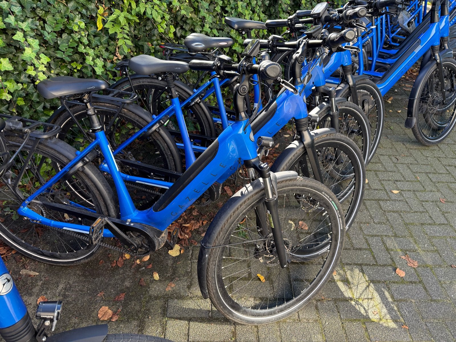 Gazelle demo fietsen: Chamonix, Grenoble, Avignon, Ultimate, Ophalen, Gebruikt, 51 tot 55 cm, 50 km per accu of meer