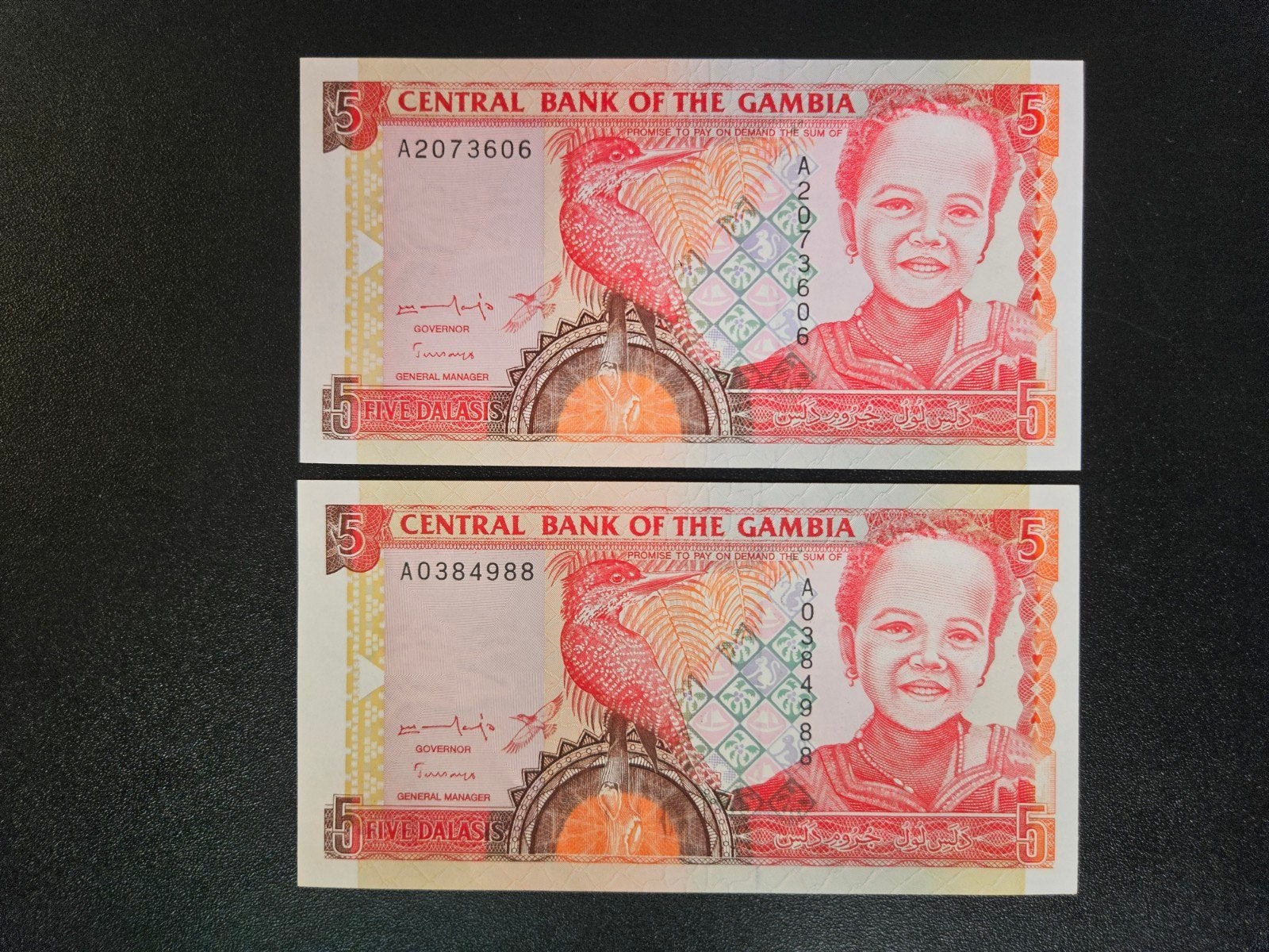 Gambia pick 16a 1996 UNC, Ophalen of Verzenden, Overige landen, Los biljet