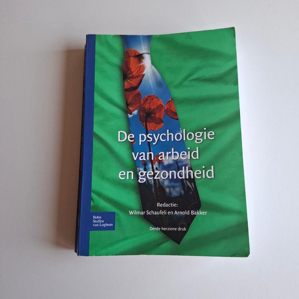 De psychologie van arbeid en gezondheid - 3e druk, Sociale psychologie, Verzenden, Wilmar Schaufeli, Zo goed als nieuw