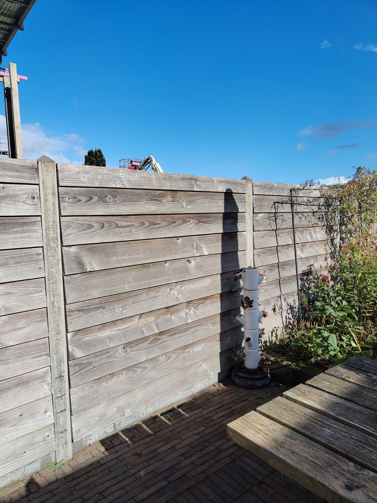 Douglas schutting, 6*1,80m, inclusief betonpalen, Ophalen, 6 meter of meer, Hout, 1 tot 2 meter