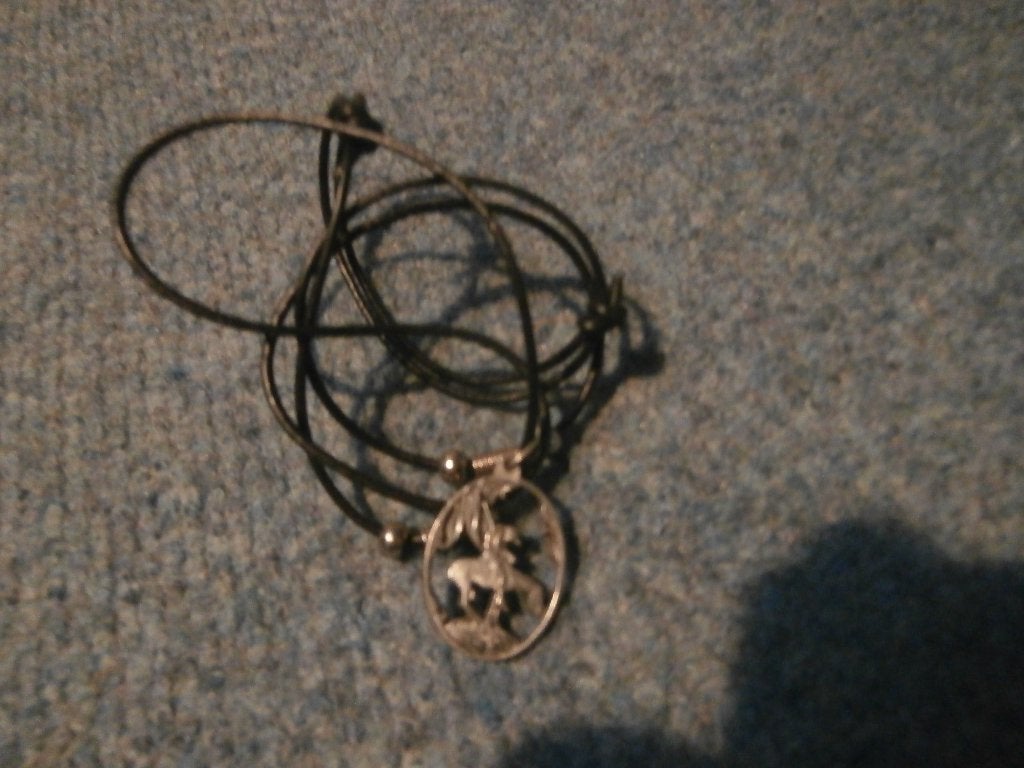 Touwtjes ketting hanger ruiter op een paard kettinghanger, Overige materialen, Ophalen of Verzenden, Zilver, Gebruikt
