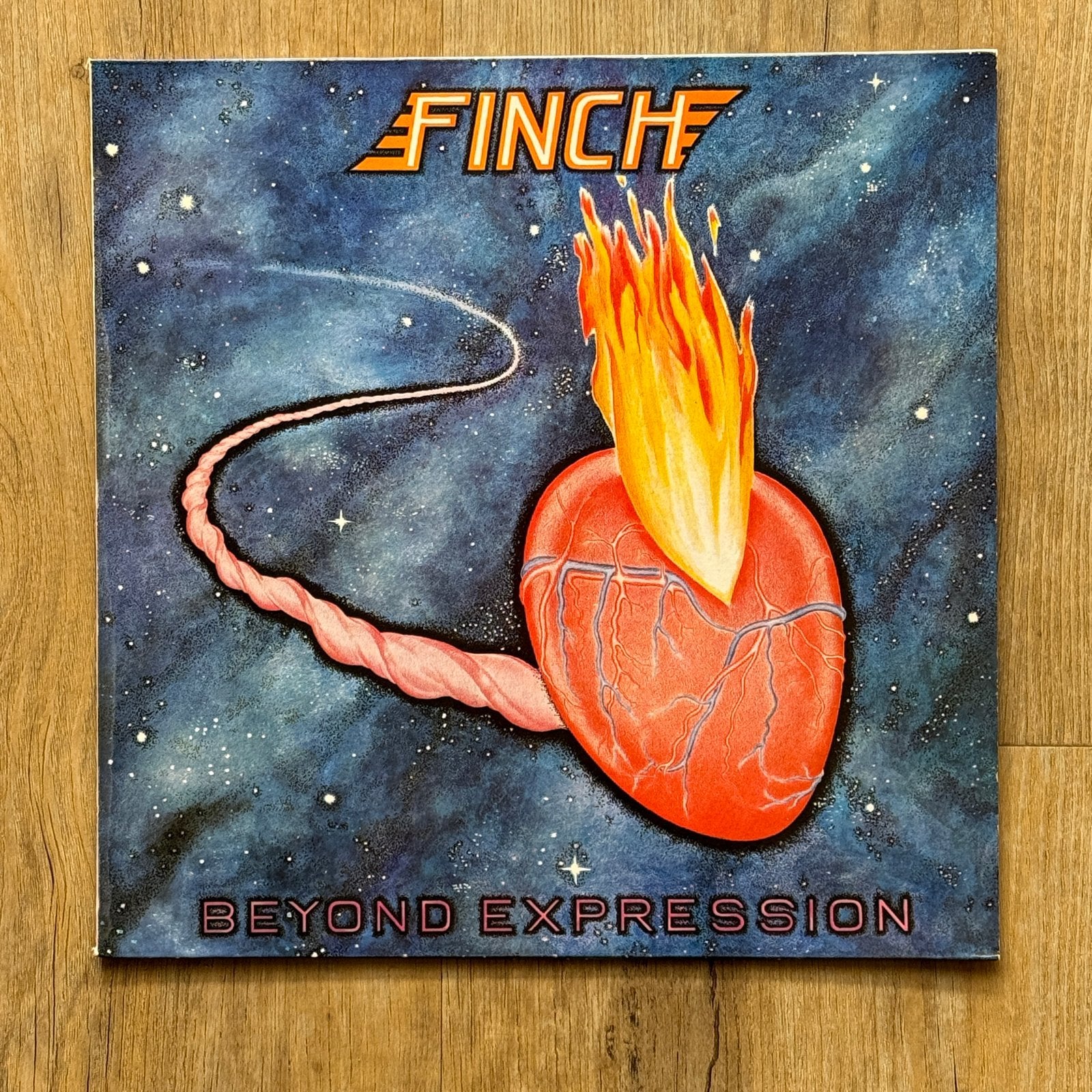 Finch Beyond Expression prog rock met leden van Q65 en 1850, Cd's en Dvd's, Vinyl | Rock, Ophalen, Zo goed als nieuw, 12 inch