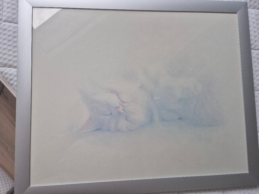 Vintage van Bob Harrison,  katten in zware aluminium lijsten, Gebruikt, Ophalen of Verzenden, Schilderij, 5 – 50