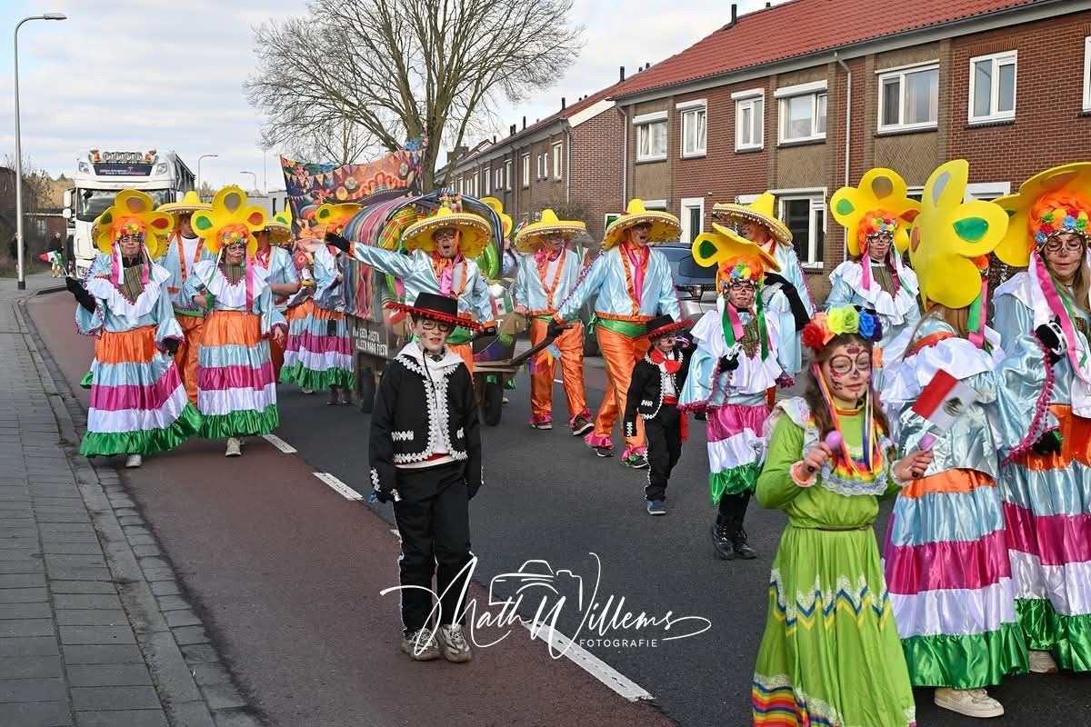 24 zelfgemaakte carnavalspakken., Kleding | Dames, Carnavalskleding en Feestkleding, Carnaval, Maat 42/44 (L), Ophalen of Verzenden
