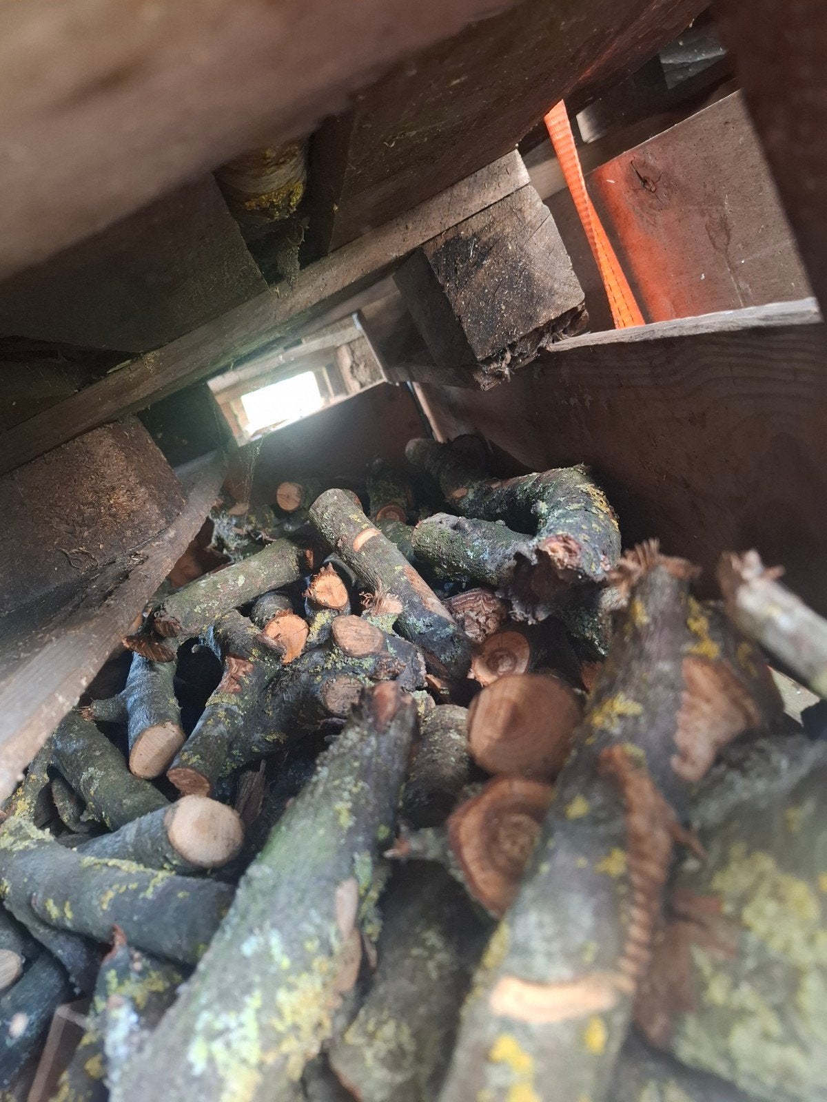 Kuub appelbomen hout strak gestapeld, Ophalen of Verzenden
