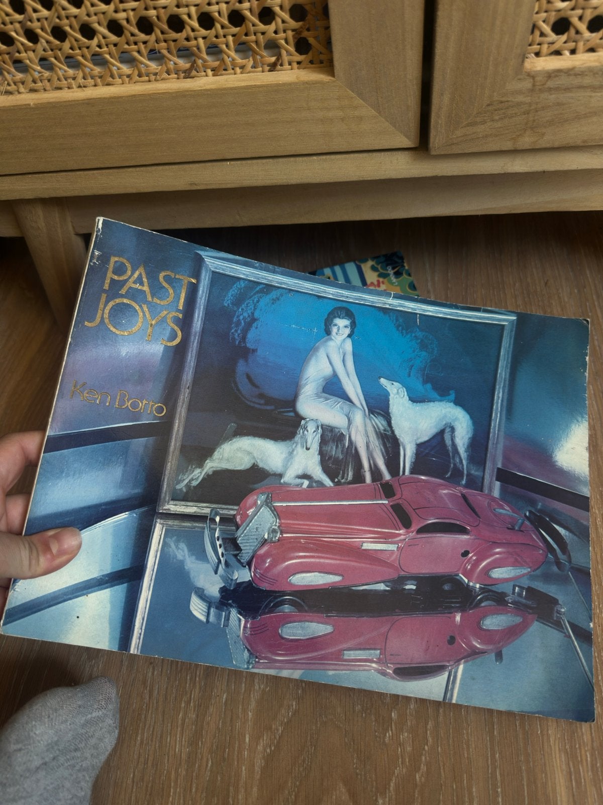 Past Joys - Ken Botto (Gebruikt boek met gebruikerssporen), Ophalen of Verzenden, Gelezen