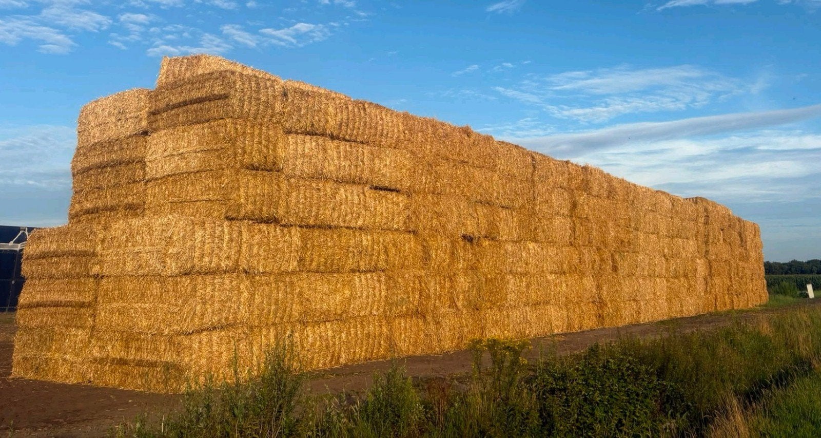 Stro. Tarwe Gerst Nieuwe oogst, Zakelijke goederen, Agrarisch | Veevoer, Ophalen