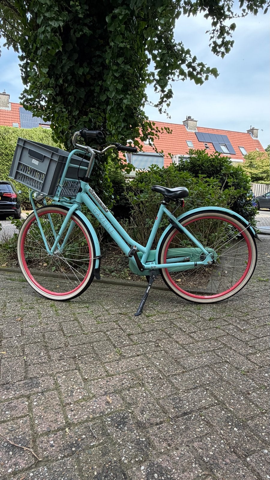 Gazelle Damesfiets Mint/Roze - 50-53 inch, Ophalen, Terugtraprem, Gebruikt, Versnellingen