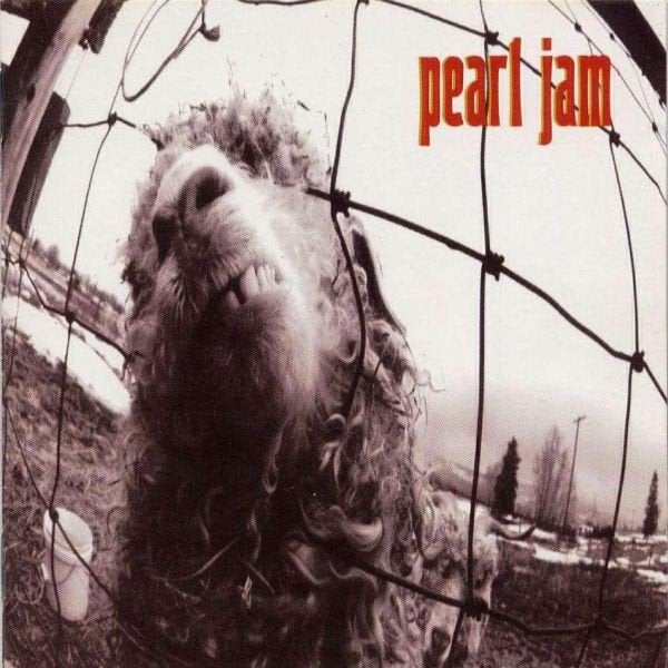 Grunge C.D. (1993) Pearl Jam - Vs., Inclusief boekje, Gebruikt, Ophalen of Verzenden, Alternative Rock