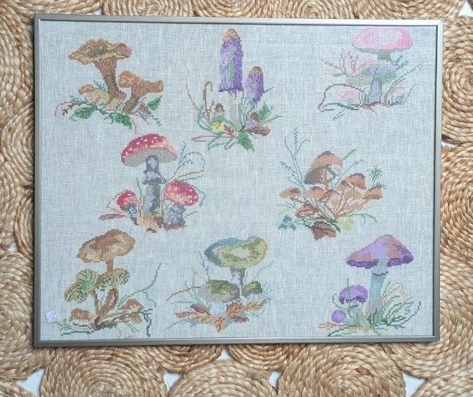 Vintage ingelijst geborduurd schilderij paddenstoelen, Ophalen of Verzenden, Zo goed als nieuw, 50 tot 75 cm, Schilderij
