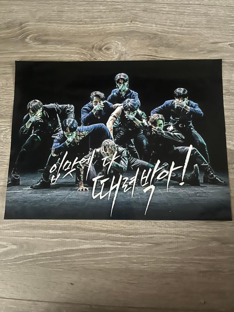 Stray Kids poster - Op foto papier - Kingdom versie, Ophalen of Verzenden, Zo goed als nieuw, A1 t/m A3
