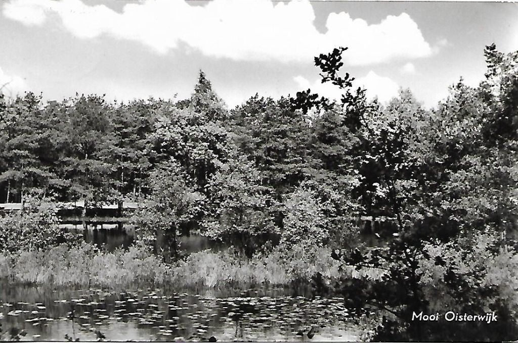 Oisterwijk- -Mooi Oisterwijk., Verzenden, 1940 tot 1960, Gelopen, Noord-Brabant