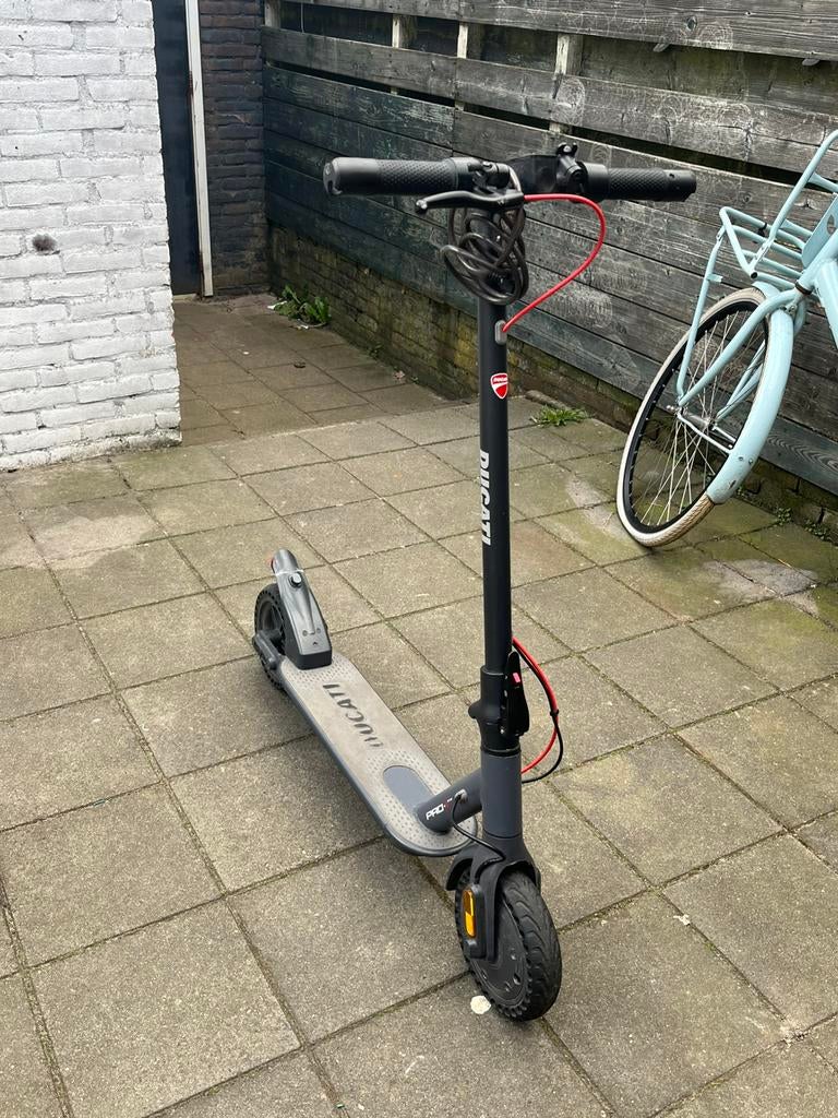 Elektrische Step | Ducati | Opknapper, Ophalen, Gebruikt, Elektrische step (E-scooter)