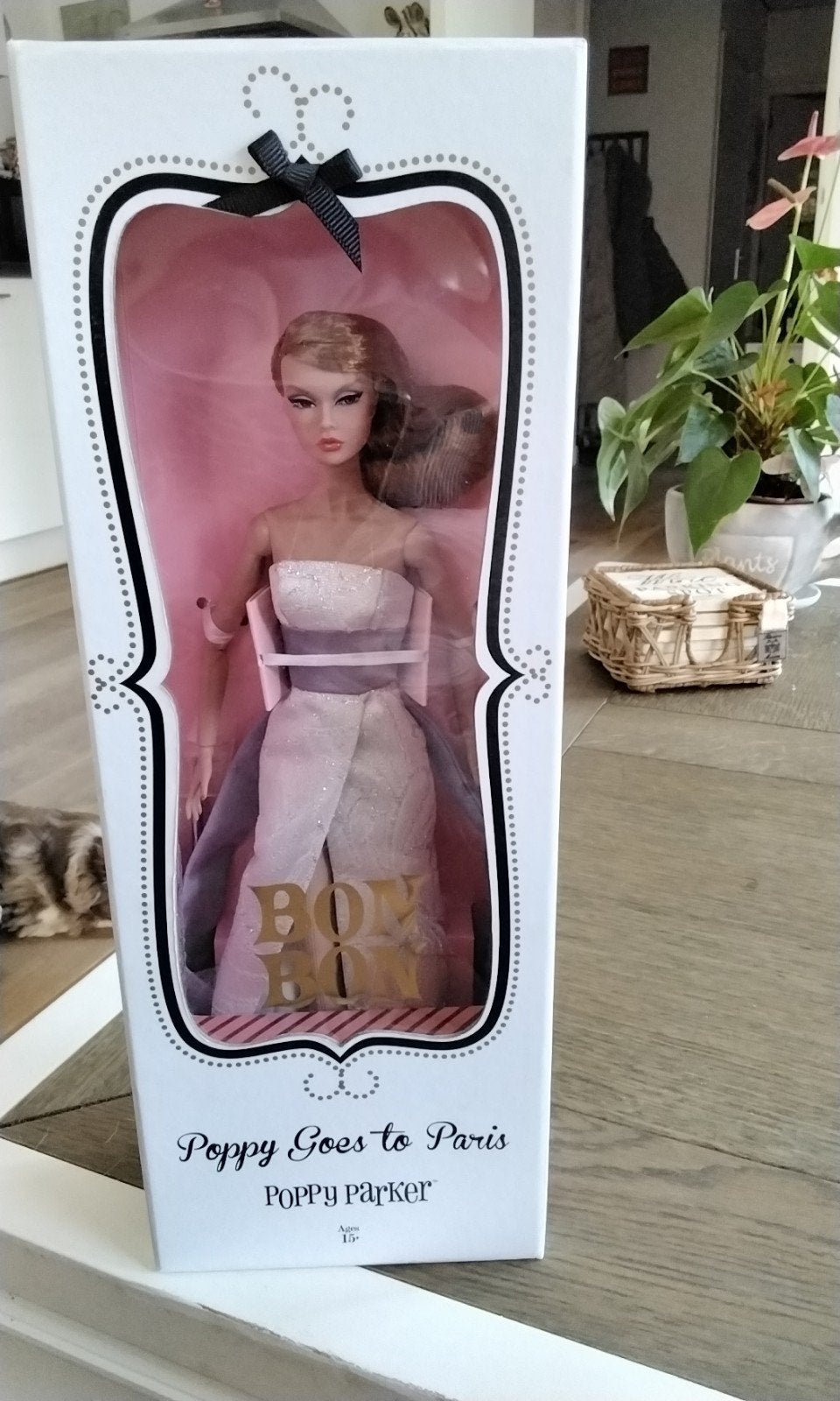 Poppy Parker 'Bon Bon: Poppy Goes to Paris' pop, Ophalen of Verzenden, Nieuw, Overige typen