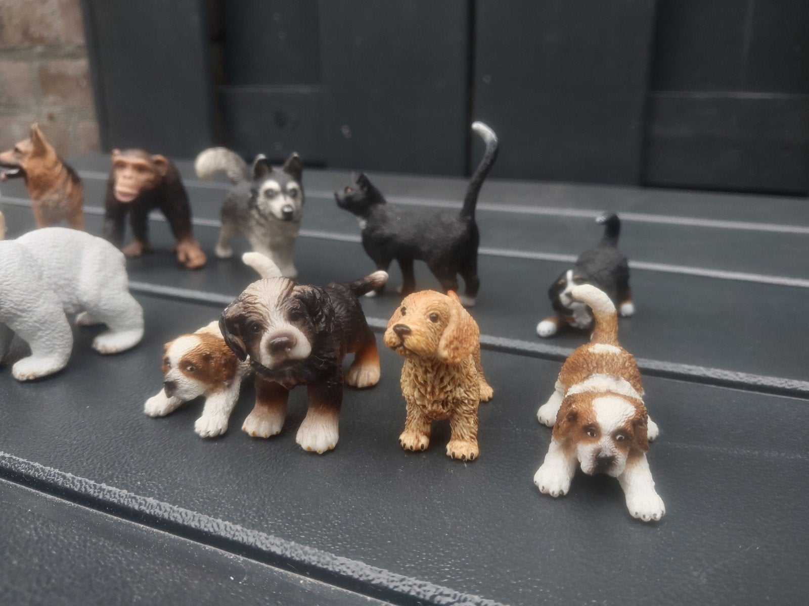 schleich honden. katten, Ophalen of Verzenden, Zo goed als nieuw, Hond of Kat, Beeldje of Figuurtje