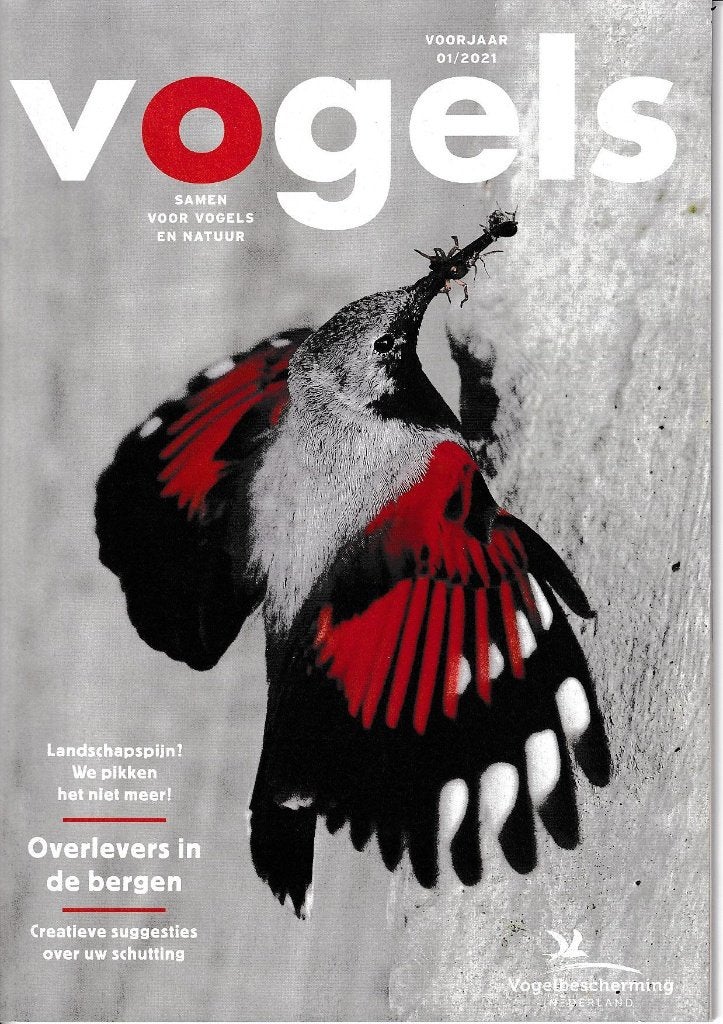Magazine Vogels (Vogelbescherming), Ophalen, Zo goed als nieuw, Overige onderwerpen
