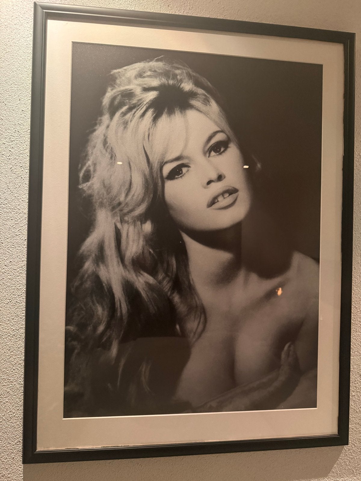 Ingelijste foto's: Brigitte Bardot & Gouden Vrouw, Ophalen, Zo goed als nieuw, 50 tot 75 cm, Foto of Poster