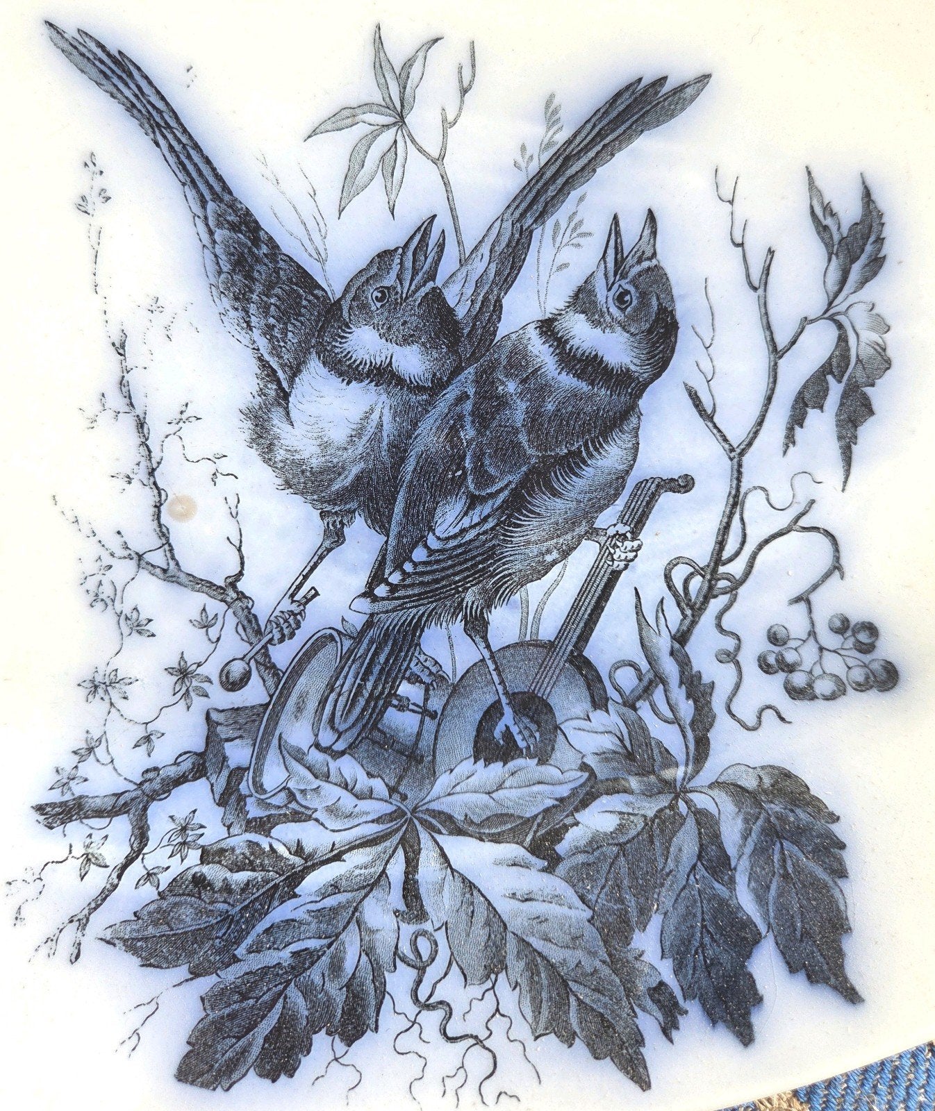 Oiseaux, Societe ceramique grote schaal Vogeltjes!, Ophalen of Verzenden