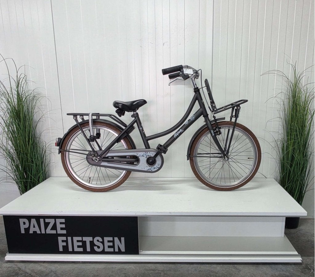 Alpina Cargo Kinderfiets frame hoogte 20 inch , 28422, Niet ingevuld, Terugtraprem, Alpina, Niet ingevuld