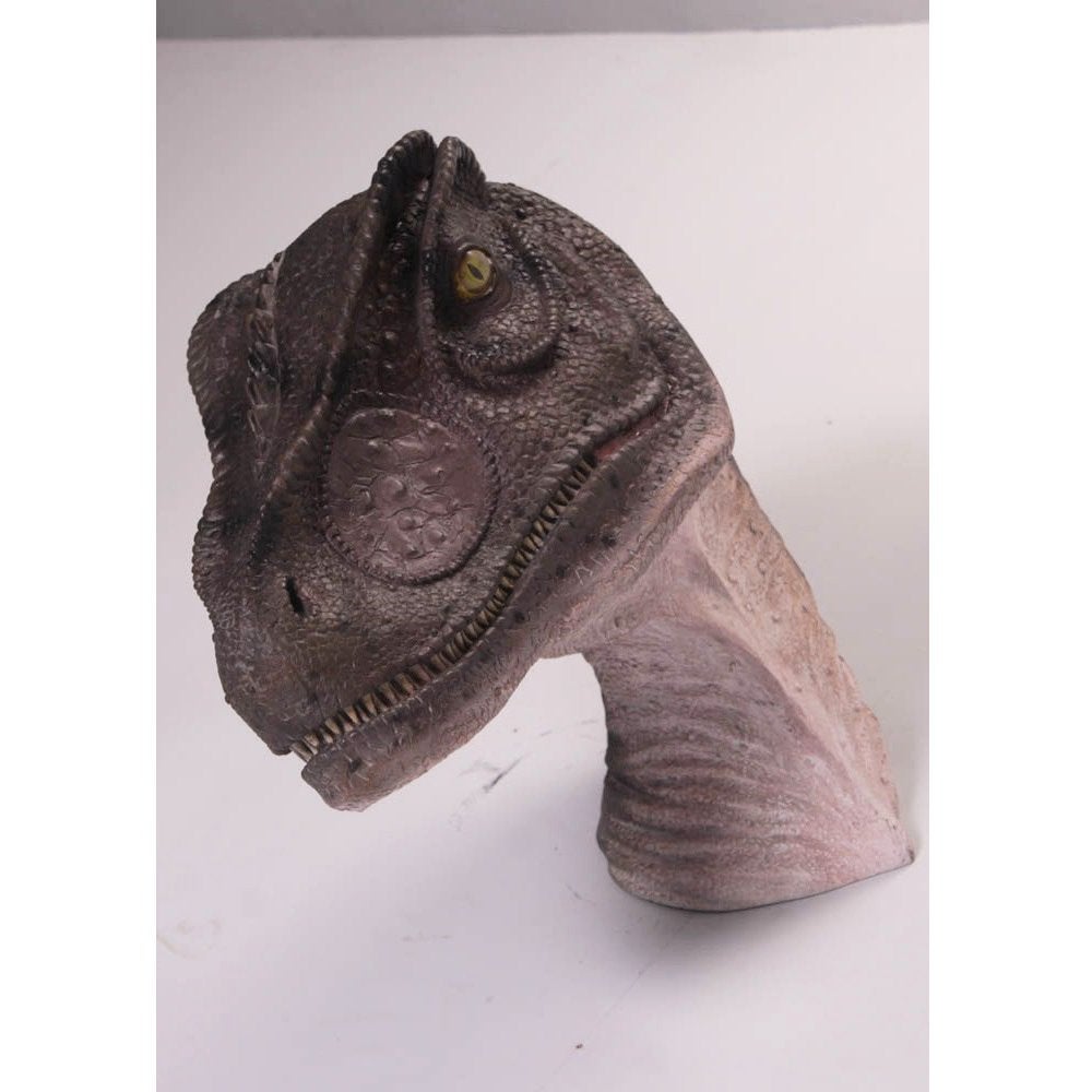 Allo Saurus Hoofd – Dinosaurus beeld Lengte 59 cm, Ophalen, Nieuw, Overige typen
