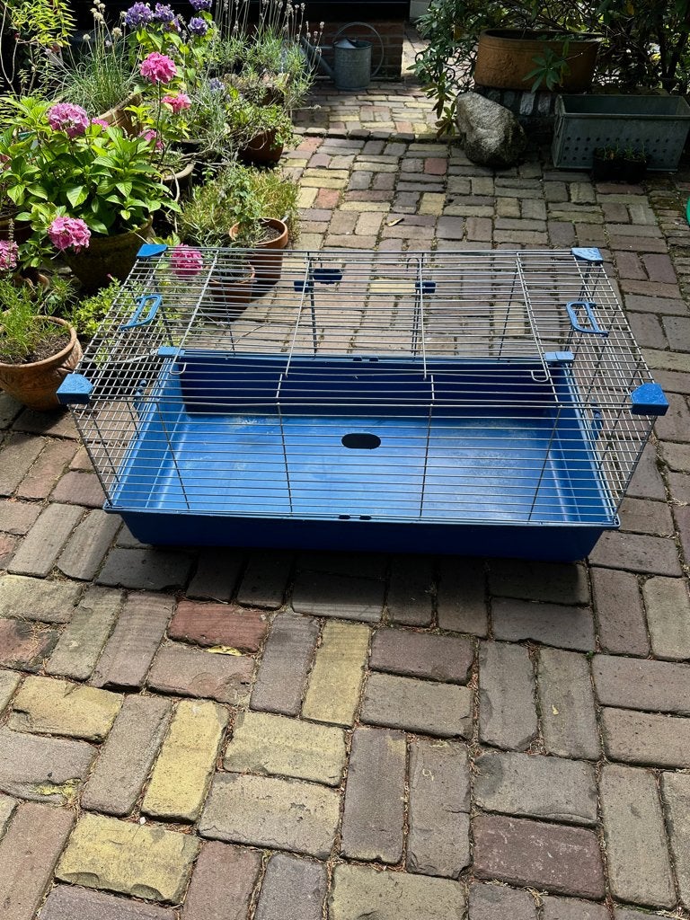 Caviahok met accessoires, Dieren en Toebehoren, Knaagdieren en Konijnen | Hokken en Kooien, Kooi, Gebruikt, 75 tot 110 cm, Cavia