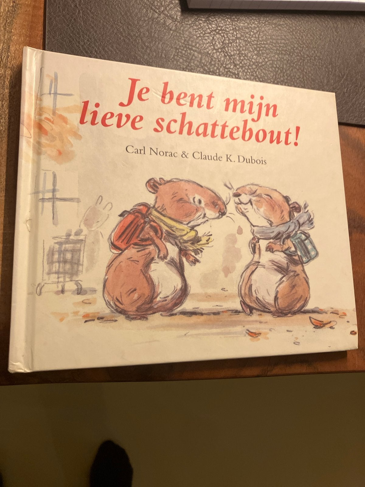 Je bent mijn lieve schattebout! Prentenboek, Ophalen of Verzenden, Zo goed als nieuw, Prentenboek