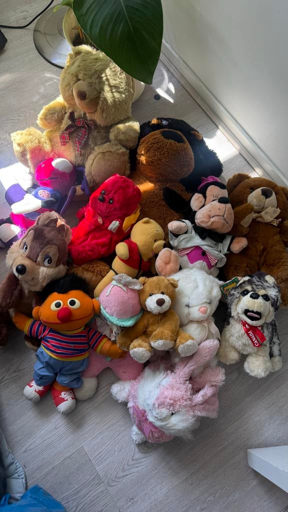 Grote verzameling knuffels, diverse soorten en maten, Kinderen en Baby's, Speelgoed | Knuffels en Pluche, Ophalen, Gebruikt, Overige merken