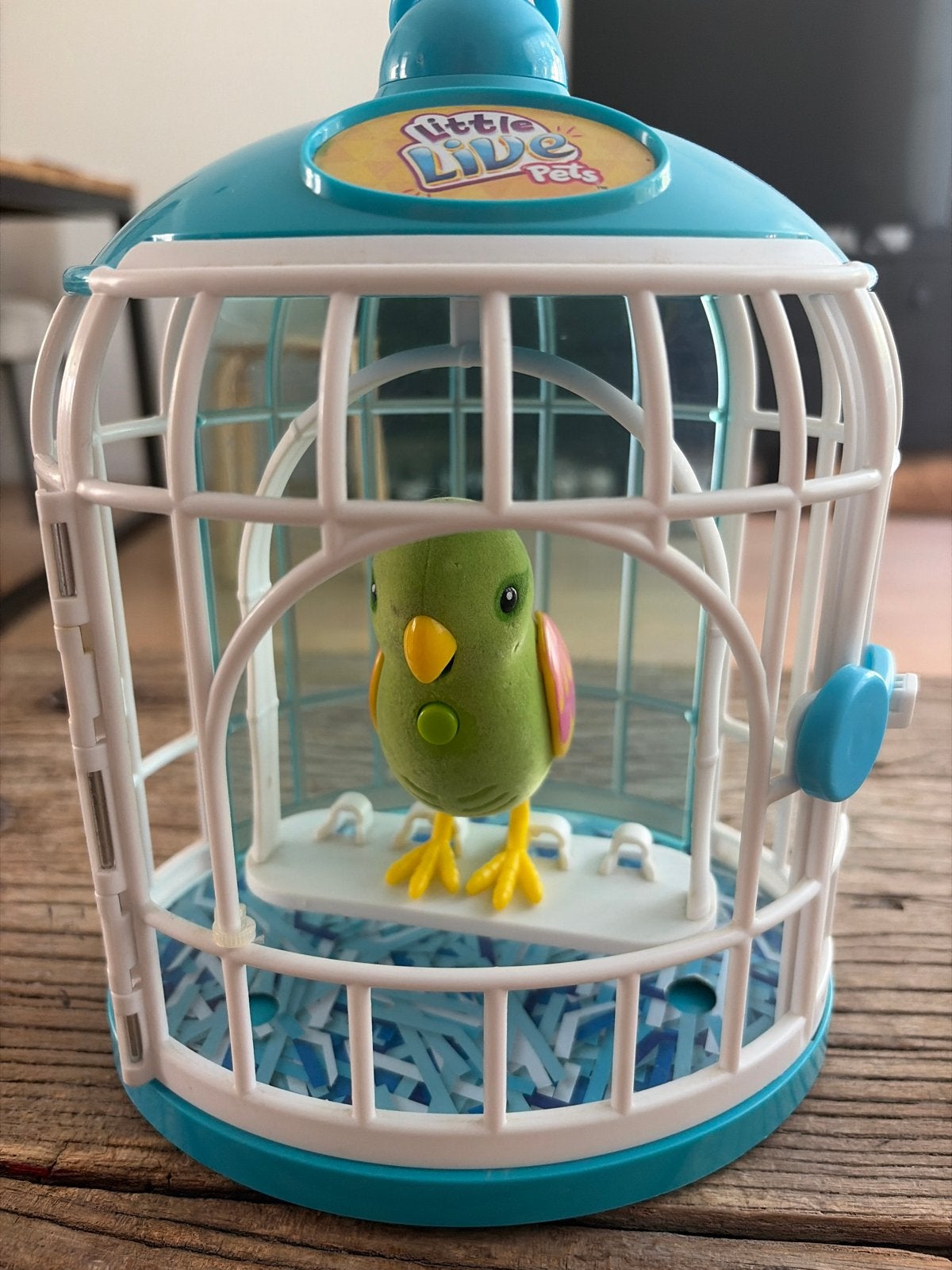 Little Live Pets vogel in kooi - Batterij vervangen, Ophalen of Verzenden, Gebruikt, Jongen of Meisje