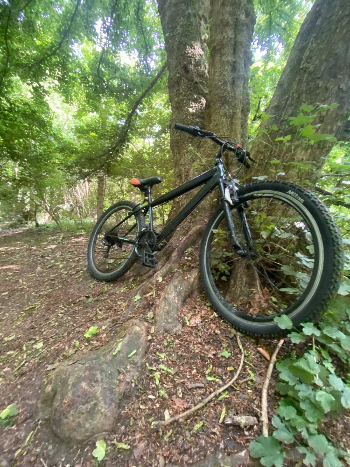 Mountainbike 26 inch, Ophalen, Gebruikt, Aluminium, 24 inch of meer